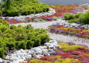 Raycap landscape design and green roof, Komenda