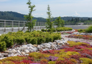 Raycap landscape design and green roof, Komenda