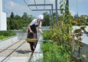 Cubis green roof, Šenčur